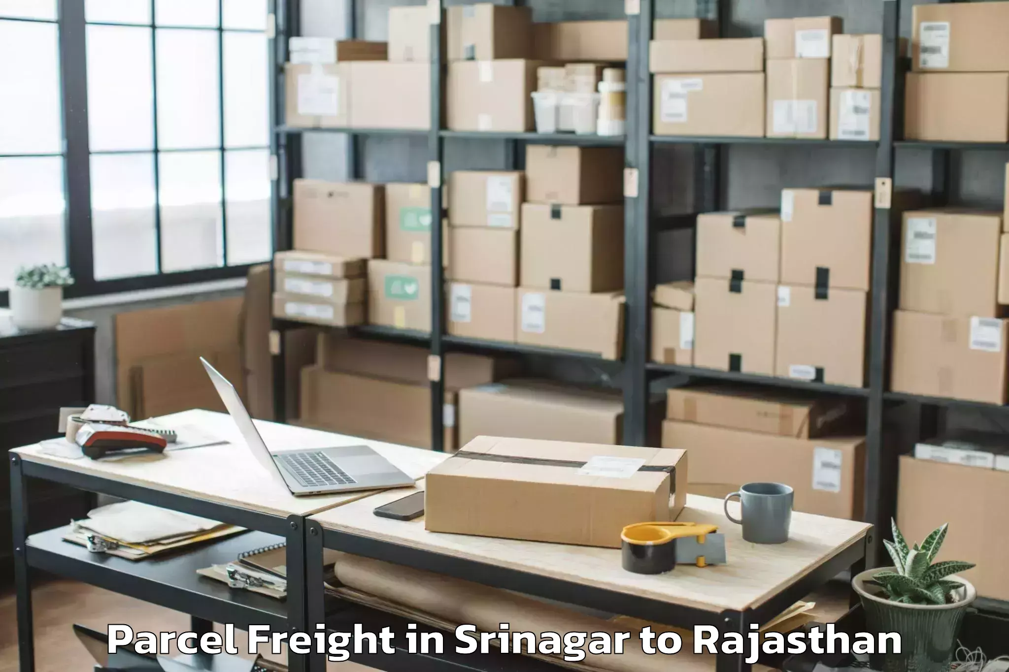 Efficient Srinagar to University Of Rajasthan Jaipur Parcel Freight